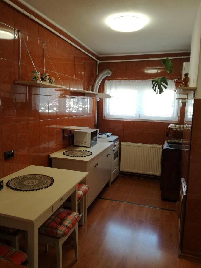Sara Apartman Târgu-Mureş Exteriör bild